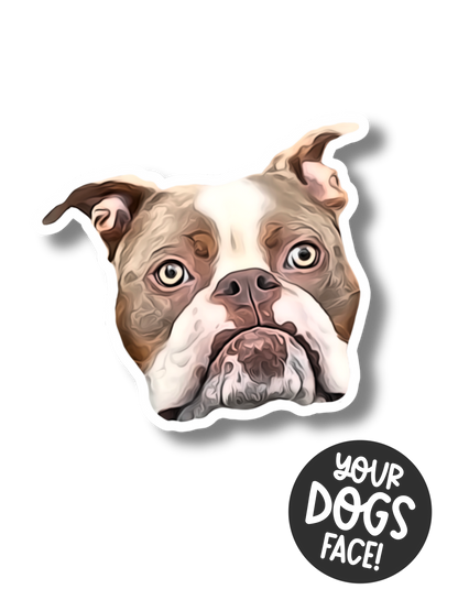 Acryl Ansteckpin "AL PAWCHINO"